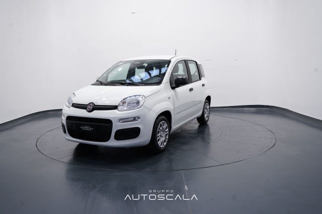 FIAT New Panda usata, con ABS