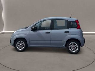 FIAT Panda usata, con Chiusura centralizzata