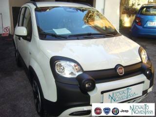 FIAT Panda Cross usata, con Controllo automatico clima