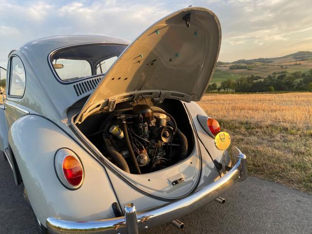 VOLKSWAGEN Maggiolino usata 13