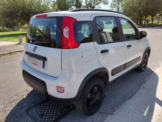 FIAT Panda usata, con Chiusura centralizzata telecomandata