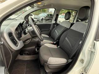 FIAT Panda usata, con Immobilizzatore elettronico