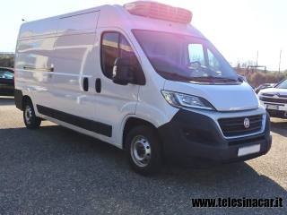 FIAT  usata 3