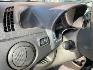 FIAT Punto usata 12