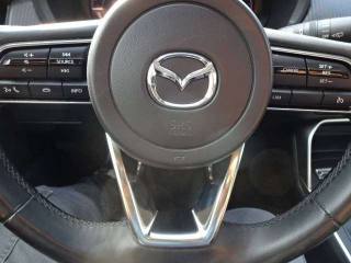 MAZDA CX-60 usata, con Climatizzatore