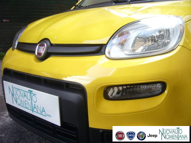 FIAT Panda usata, con Alzacristalli elettrici
