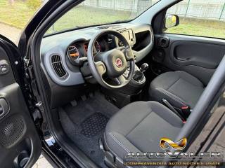 FIAT Panda usata, con Chiusura centralizzata telecomandata