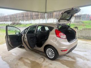 FORD Fiesta usata 38