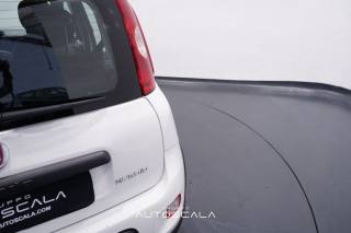 FIAT New Panda usata 27