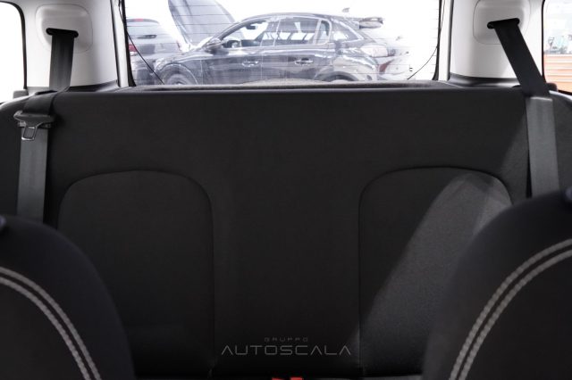 FIAT New Panda usata 16