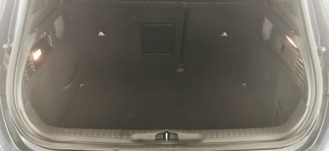 DS AUTOMOBILES DS 4 usata 14