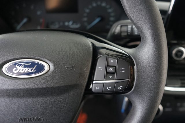 FORD Fiesta usata 45