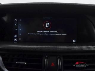 ALFA ROMEO Stelvio usata 14