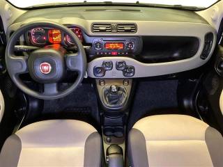 FIAT Panda usata 8