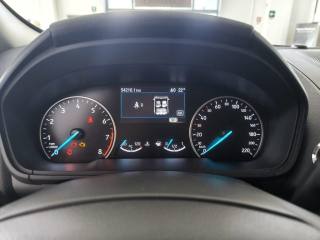 FORD EcoSport usata, con Fendinebbia