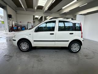 FIAT Panda usata, con Alzacristalli elettrici