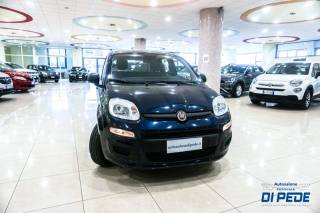 FIAT Panda usata, con Airbag Passeggero