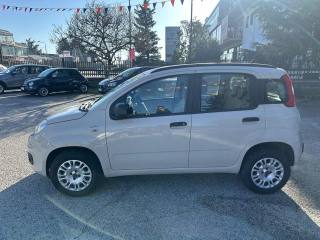 FIAT Panda usata, con Fendinebbia