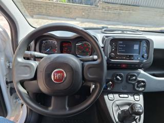 FIAT Panda usata, con Airbag testa