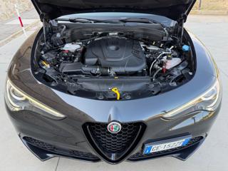 ALFA ROMEO Stelvio usata, con Bracciolo