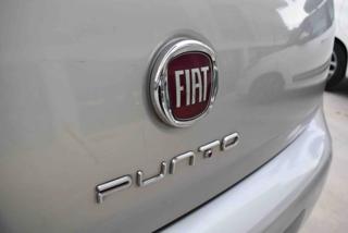 FIAT Punto usata 16