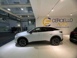 PEUGEOT 3008 usata, con Controllo automatico clima