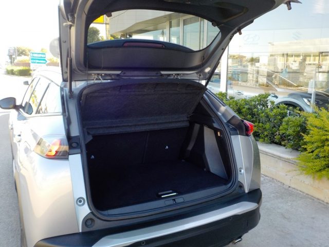 PEUGEOT 2008 usata, con Vetri oscurati