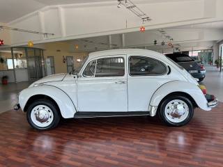 VOLKSWAGEN Maggiolone usata 6