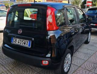 FIAT Panda usata, con Immobilizzatore elettronico