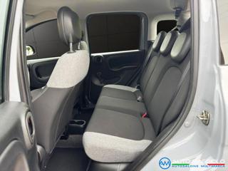 FIAT Panda usata, con Immobilizzatore elettronico