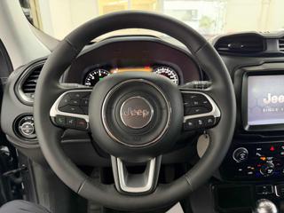 JEEP Renegade usata, con Airbag testa