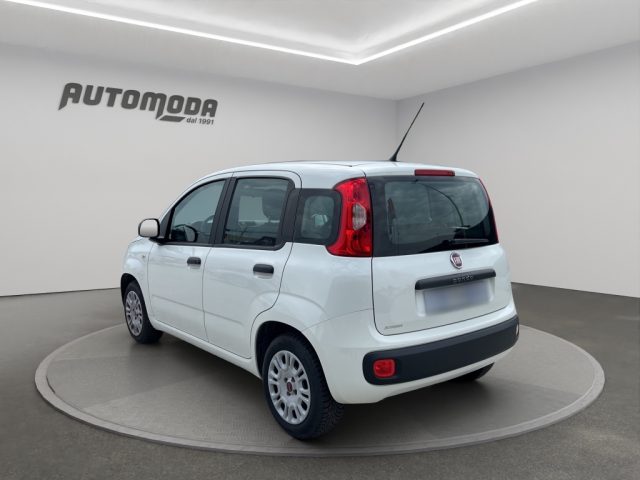 FIAT Panda usata 5