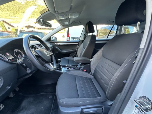 SKODA Octavia usata, con Fendinebbia
