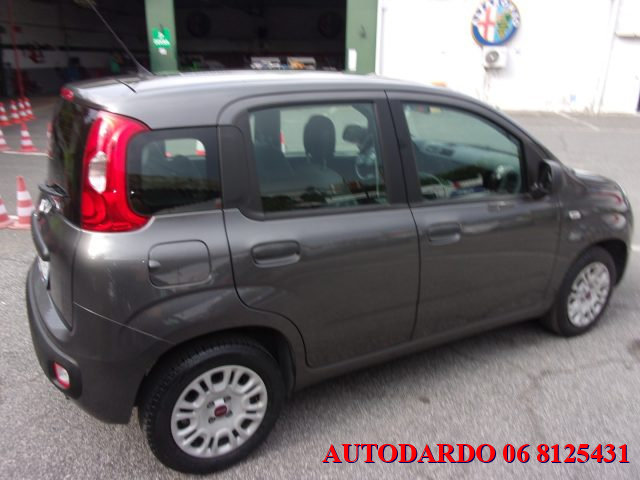 FIAT Panda usata, con Airbag testa
