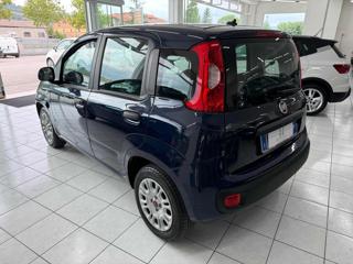 FIAT Panda usata, con Alzacristalli elettrici