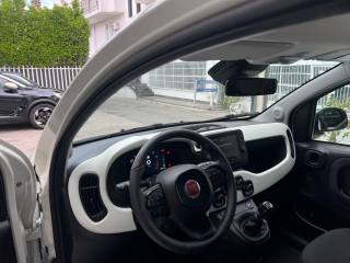 FIAT Panda usata, con Sensore di pioggia