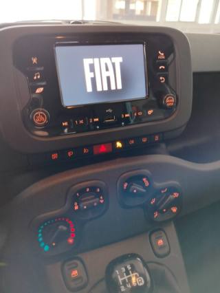 FIAT Panda usata 20