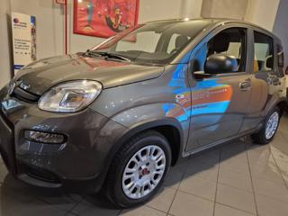 FIAT Panda usata, con Airbag Passeggero