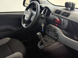 FIAT Panda usata 19