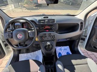 FIAT New Panda usata, con ESP