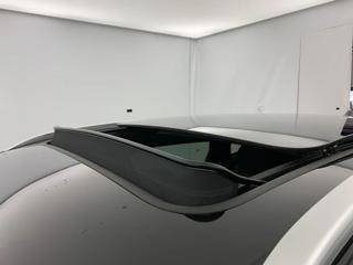 BYD Seal usata, con Park Distance Control