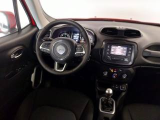 JEEP Renegade usata, con Volante in pelle