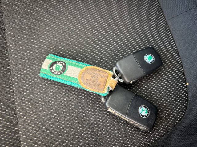 SKODA Yeti usata, con Limitatore di velocità