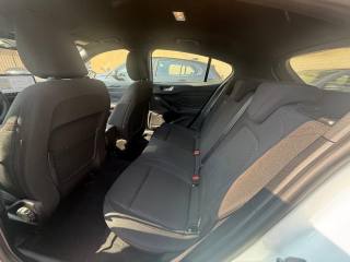 FORD Focus usata, con Sedile posteriore sdoppiato