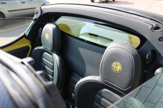 ALFA ROMEO 4C usata, con Cronologia tagliandi