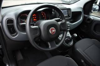 FIAT Panda usata, con Antifurto
