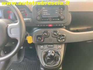 FIAT Panda usata, con Immobilizzatore elettronico