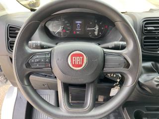 FIAT Ducato usata 8
