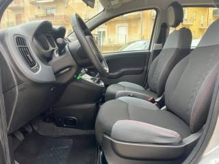 FIAT Panda usata 13