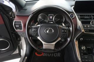 LEXUS NX 300h usata, con Fendinebbia